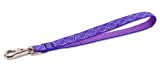 Lupine Training Tab/Leash for Medium and Larger Dogs, 3/4-Inch Wide, Jelly Roll