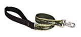 lupinepet originals 1 brook trout 2-foot traffic lead/leash for medium and larger dogs"