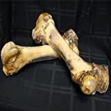 Merlins Magic mm01054 MERLINS MAGIC MAMMOUTH FEMUR BONE 6-CASE. Great for dogs who love to chew. 100percent natural.