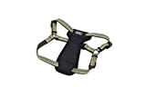 K9 Explorer Reflective Dog Harness Small Fern