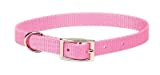 Coastal Pet Single Nylon Collar - Bright Pink 14 Long x 5/8" Wide"