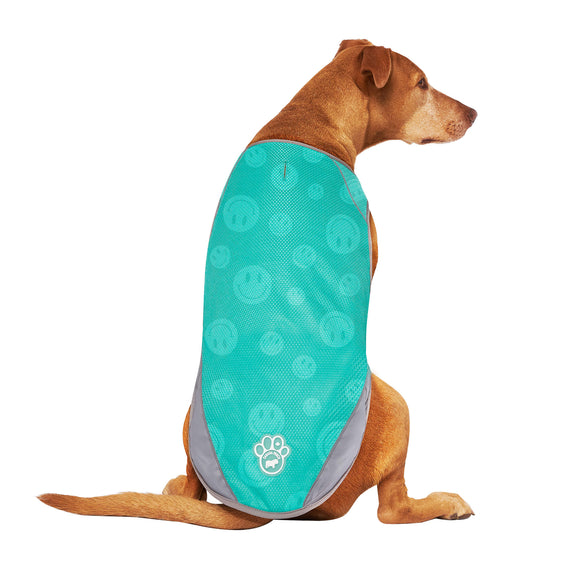Canada Pooch Wet Reveal Smiley Chill Seeker Cooling Dog Vest, X-Large/XX-Large