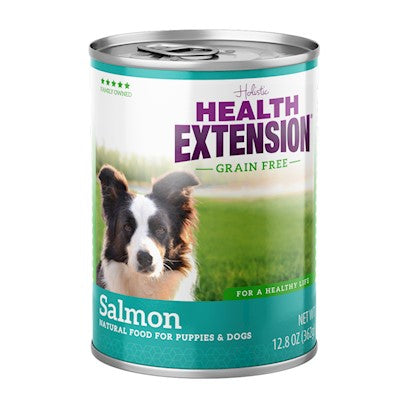 Holistic Health Extension Grain-Free Salmon Wet Dog Food, 13.2 Oz