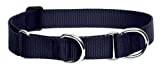 Lupine 27555 1 inch Black 15 inch - 22 Designer Combo Dog Collar