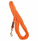 Mendota Trainer Dog Check Cord 30ft x 3/8in Orange