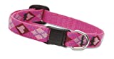 Puppy Love Adjustable Cat Collar with Bell