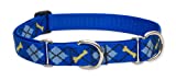 lupinepet originals 1 dapper dog 19-27 martingale collar for large dogs