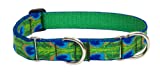 Lupine 1-Inch Tail Feathers 15-22-Inch Martingale Combo Collar for Large Dogs