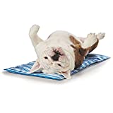 PetEdge Cool Pup Mat 20in Blue