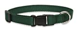 Lupine 3/4-Inch Green 9-14-Inch Adjustable Dog Collar for Small to Medium Dogs