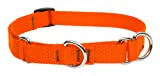 lupinepet basics 3/4 blaze orange 14-20 martingale collar for medium and larger dogs