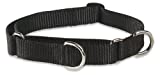 Lupine 3/4-Inch Black 14-20-Inch Martingale Combo Collar for Medium to Large Dogs