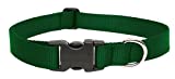 Lupine 1-Inch Green 12-20-Inch Adjustable Dog Collar for Medium and Large Dogs
