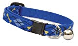 Lupine Inc 41827 1/2 inch X 8 inch-12 inch Adjustable Dapper Dog Design Safety Cat Collar with Bell