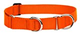 Lupine 52555 1 inch Blaze Orange 15 inch - 22 Designer Combo Dog Collar