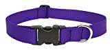 Lupine 1-Inch Purple 16-28-Inch Adjustable Dog Collar for Large Dogs