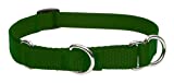 Lupine 3/4-Inch Green 10-14-Inch Martingale Combo Collar for Small to Medium Dogs
