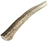 Happy Dog of Cape Cod Whole Elk Antler Dog Chew Small