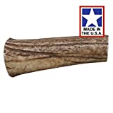 Happy Dog of Cape Cod Whole Elk Antler Dog Chew Special