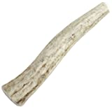 Happy Dog of Cape Cod Whole Elk Antler Dog Chew eXtra Small