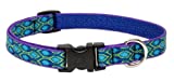 lupine small dog collar 3/4 wide rain song adjusts from 9" to 14""