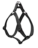 Lupine Step-In Harness for Larger Dogs, 19 to 28-Inch Girth, 1-Inch Wide, Black