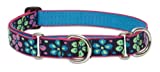 Lupine 1-Inch Flower Power Martingale Combo Collar for Large Dogs, 19 to 27-Inch