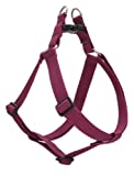LupinePet 1-Inch Recycled Fiber Step-In Harness for Medium Dogs with Girth Size 19 to 28-Inch, Berry