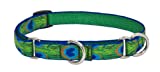 lupinepet originals 3/4 tail feathers 14-20" martingale collar for medium and larger dogs"