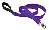 dog leash by lupine in 1 wide purple 6-foot long with padded handle"