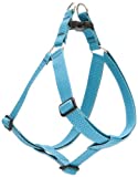 LupinePet 1-Inch Recycled Fiber Step-In Harness for Medium Dogs with Girth Size 19 to 28-Inch, Tropical Sea