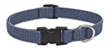 LupinePet 3/4-Inch Recycled Fiber Collar, Adjustable for 9 to 14-Inch Small to Medium Dogs, Mountain Lake