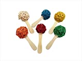 A&E Cage Co Popsicle Bird Toy 6pk