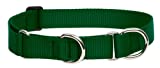 Lupine 1-Inch Green 19-27-Inch Martingale Combo Collar for Large Dogs