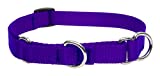 Lupine 3/4-Inch Purple 10-14-Inch Martingale Combo Collar for Small to Medium Dogs