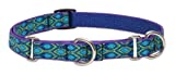 Lupine 3/4-inch Rain Song 10-14 Inch Combo Collar for Small to Medium Dogs