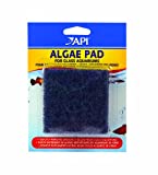 API® Algae Pad for Glass Aquariums 1 Pad