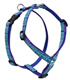 Lupine 3/4-inch Rain Song 14-24 Inch Roman Harness for Small to Medium Dogs