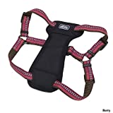 K9 Explorer Reflective Dog Harness Large Fern