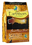 Earthborn Holistic Grain-Free Great Plains Feast with Bison Adult Dry Dog Food, 4 lb