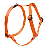 lupinepet basics 3/4 blaze orange 20-32 roman harness for medium dogs