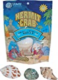 Florida Marine Research Hermit Crab Shell Medium 3pk