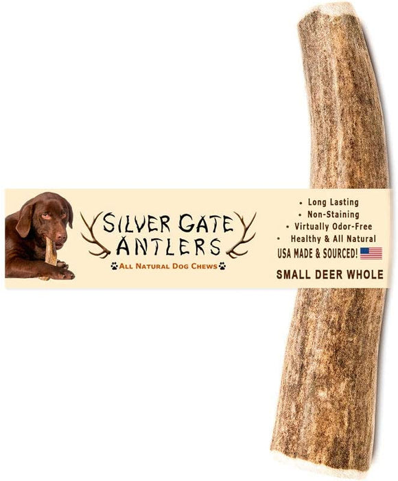 Silvergate Antler Dog Chew Whole Deer Small