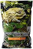 Galapagos Royal Pillow Moss, Fresh Green, 8qt Bag