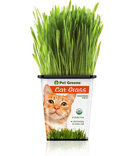 Pet Greens Live Wheatgrass