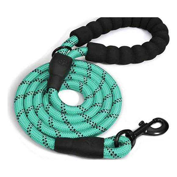 Doggy Tales Braided Dog Leash, 5-ft Turquoise