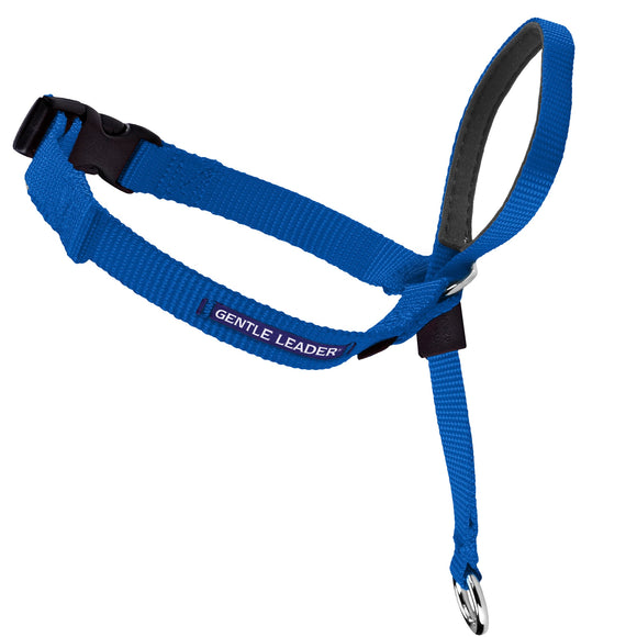 PetSafe Gentle Leader Headcollar  No-Pull Dog Collar  Medium 25-60 Lb.  Blue