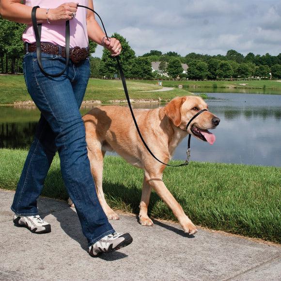 PetSafe Gentle Leader Headcollar  No-Pull Dog Collar  Large 60-130 Lb.  Black