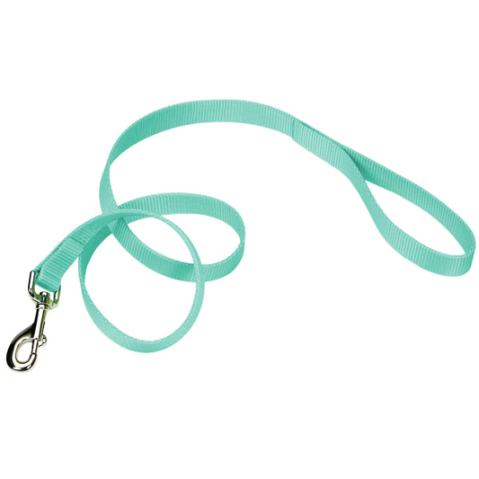 Coastal Pet Single-ply Teal Nylon Dog Lead - 6'L x 1W "