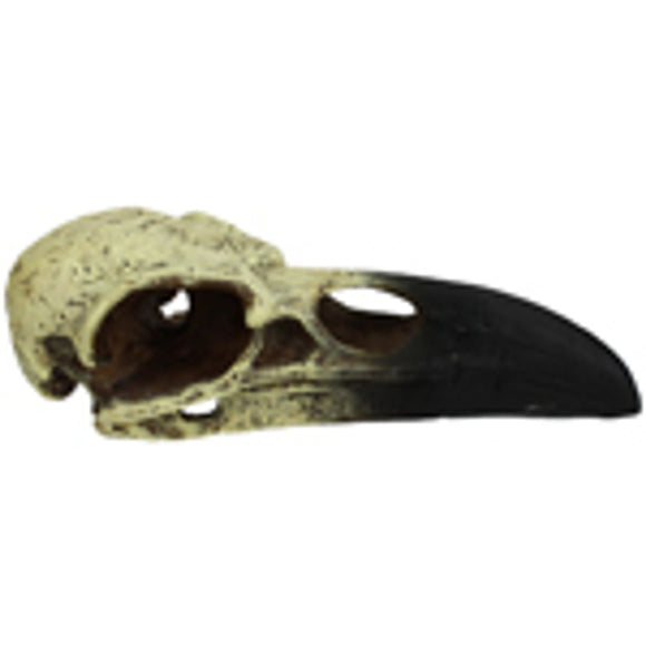 Komodo Raven Skull Hideout Medium